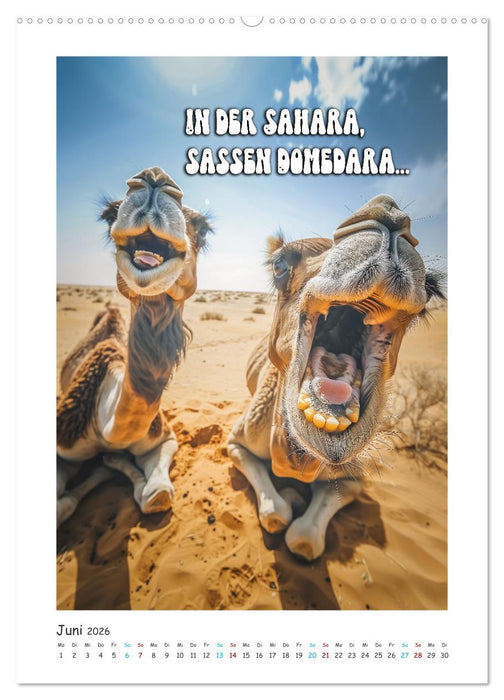 Lach Dich fit ! (CALVENDO Wandkalender 2026)