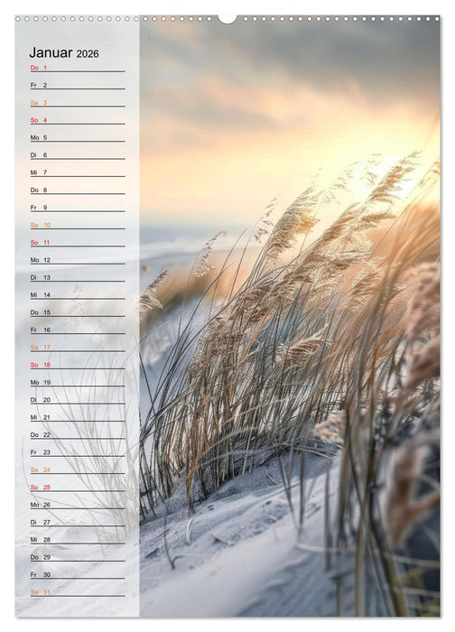 Maritim, Deutschlands Küsten (CALVENDO Premium Wandkalender 2026)