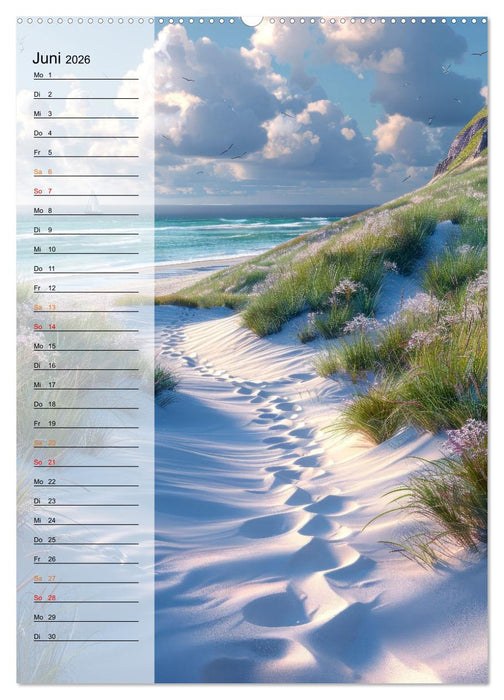 Maritim, Deutschlands Küsten (CALVENDO Premium Wandkalender 2026)