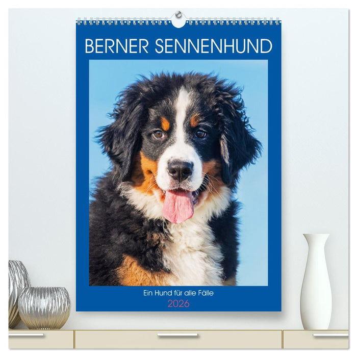 Berner Sennenhund - Ein Hund für alle Fälle (CALVENDO Premium Wandkalender 2026)