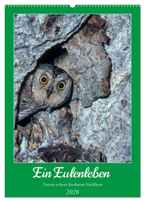 Ein Eulenleben, Unsere schwer fassbaren Nachbarn (CALVENDO Wandkalender 2026)
