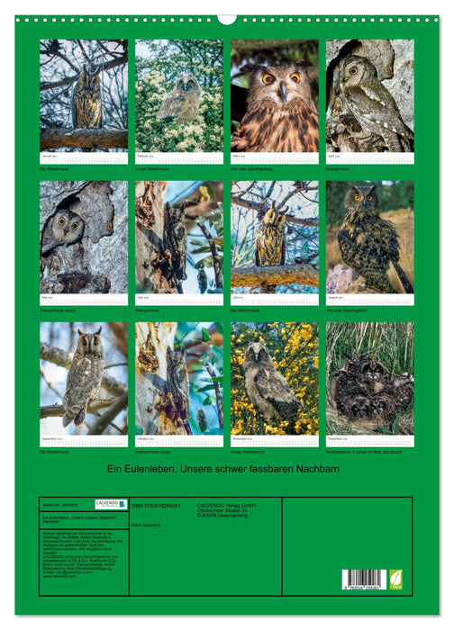 Ein Eulenleben, Unsere schwer fassbaren Nachbarn (CALVENDO Wandkalender 2026)