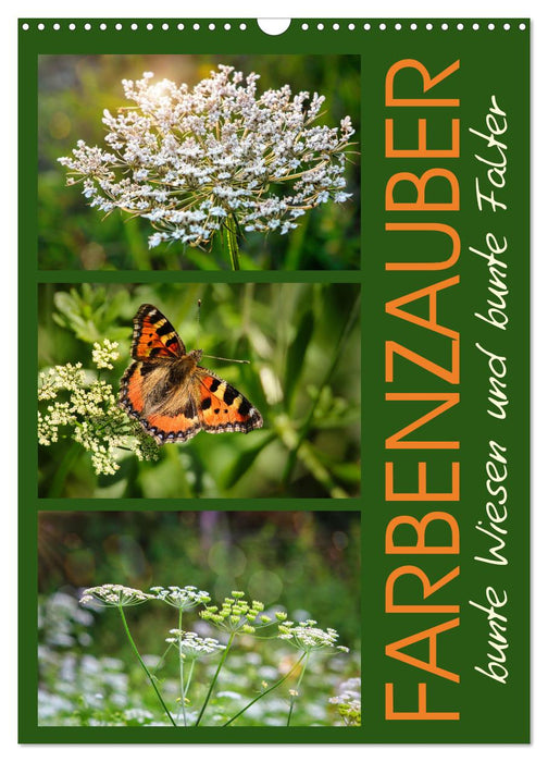 Farbenzauber, bunte Wiesen und bunte Falter (CALVENDO Wandkalender 2026)
