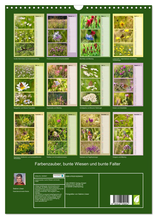 Farbenzauber, bunte Wiesen und bunte Falter (CALVENDO Wandkalender 2026)