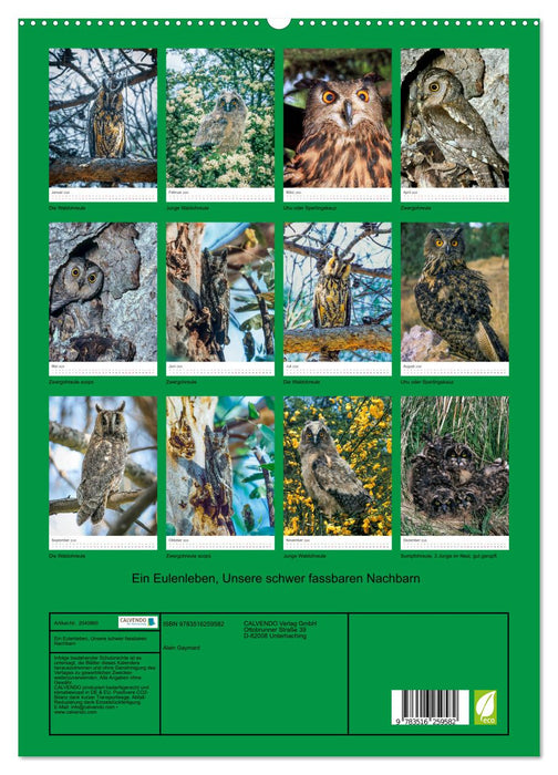 Ein Eulenleben, Unsere schwer fassbaren Nachbarn (CALVENDO Premium Wandkalender 2026)