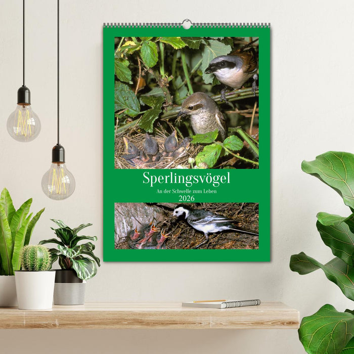 Sperlingsvögel an der Schwelle zum Leben (CALVENDO Wandkalender 2026)