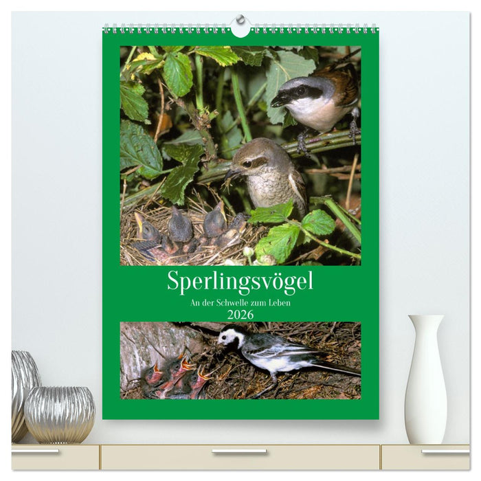 Sperlingsvögel an der Schwelle zum Leben (CALVENDO Premium Wandkalender 2026)
