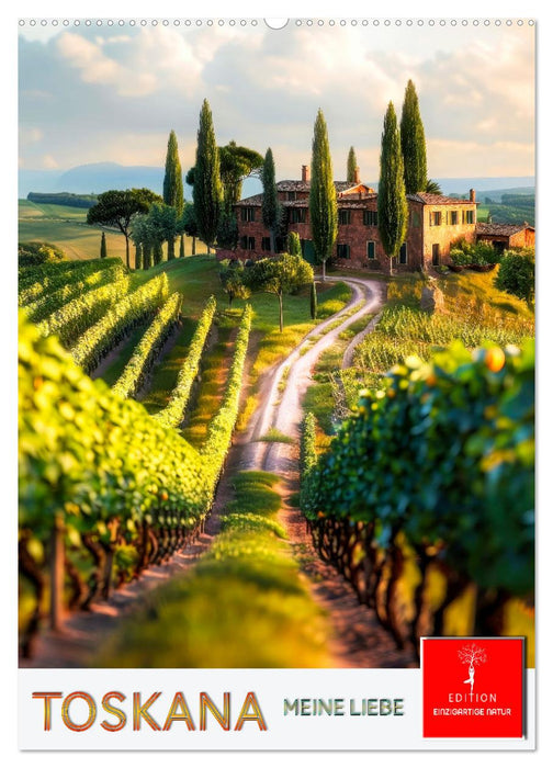 Toskana meine Liebe (CALVENDO Wandkalender 2026)