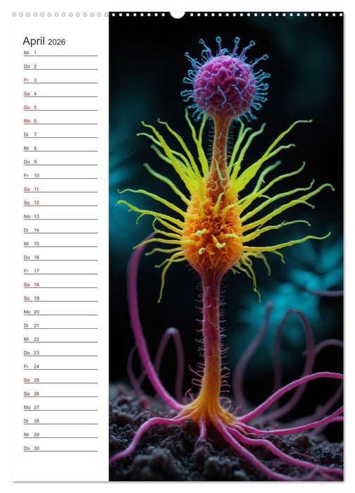Leuchtende Mikroflora (CALVENDO Premium Wandkalender 2026)