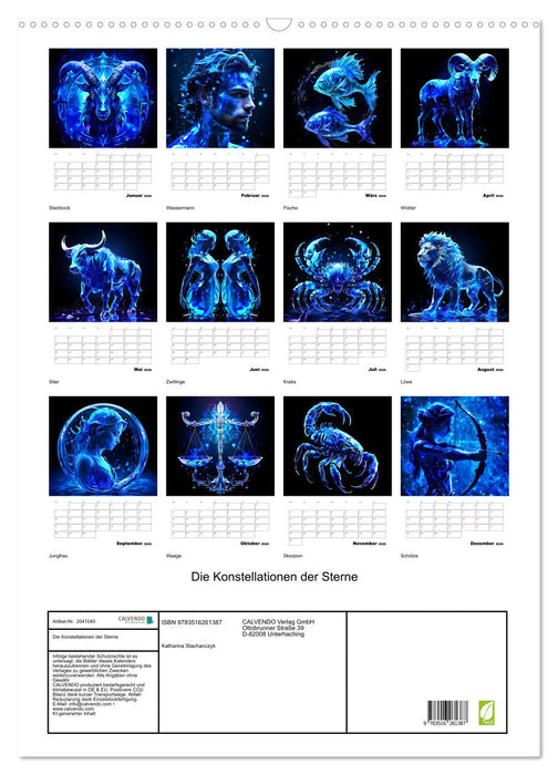 Die Konstellationen der Sterne (CALVENDO Wandkalender 2026)