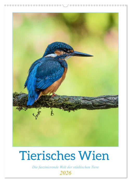 Tierisches Wien (CALVENDO Wandkalender 2026)