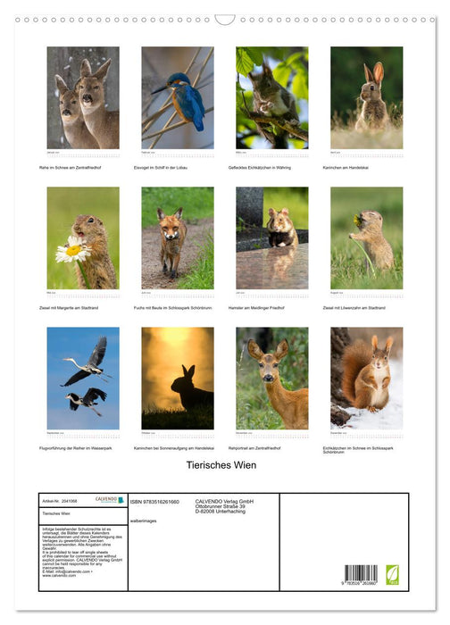 Tierisches Wien (CALVENDO Wandkalender 2026)