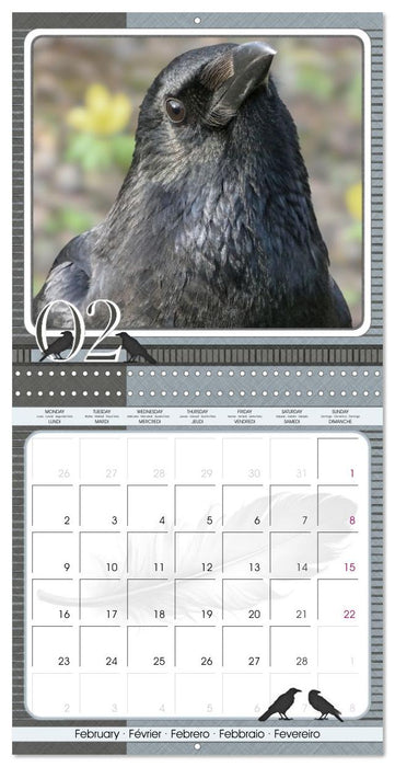 Crows. Portraits of Intelligence. Cleverly scheduled. (CALVENDO Monthly Calendar 2026)