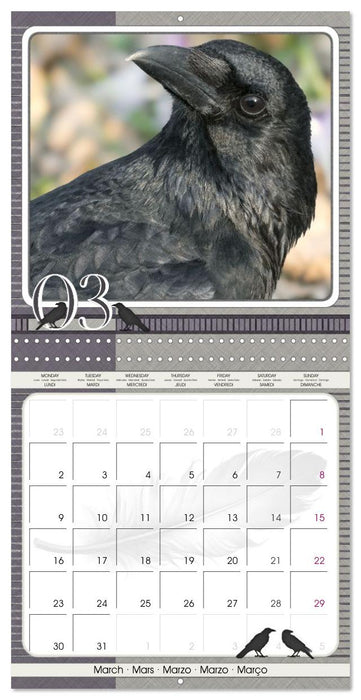 Crows. Portraits of Intelligence. Cleverly scheduled. (CALVENDO Monthly Calendar 2026)