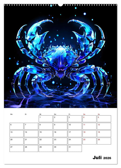 Die Konstellationen der Sterne (CALVENDO Premium Wandkalender 2026)