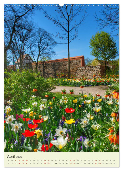 MECKLENBURG-VORPOMMERN. Du bist so schön (CALVENDO Premium Wandkalender 2026)