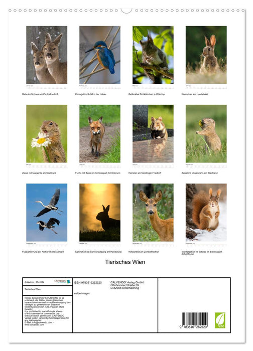 Tierisches Wien (CALVENDO Premium Wandkalender 2026)