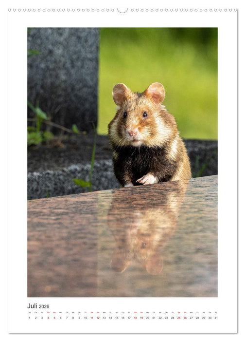 Tierisches Wien (CALVENDO Premium Wandkalender 2026)