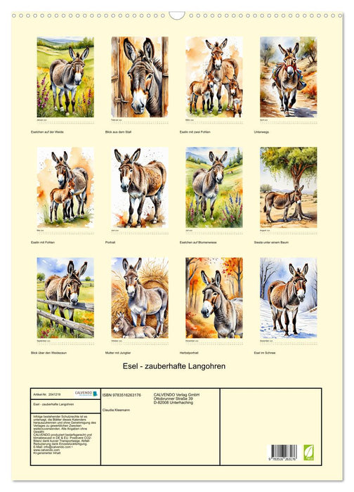 Esel - zauberhafte Langohren (CALVENDO Wandkalender 2026)