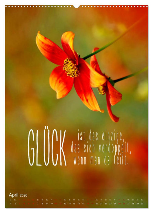 ICH WÜNSCHE DIR GLÜCK - 12 Monate mit inspirierenden Glückszitaten (CALVENDO Wandkalender 2026)