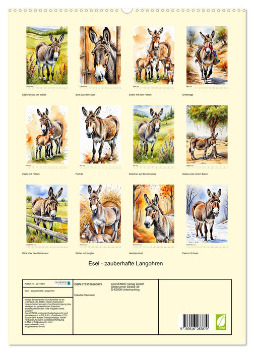 Esel - zauberhafte Langohren (CALVENDO Premium Wandkalender 2026)