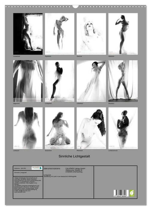 Sinnliche Lichtgestalt (CALVENDO Wandkalender 2026)
