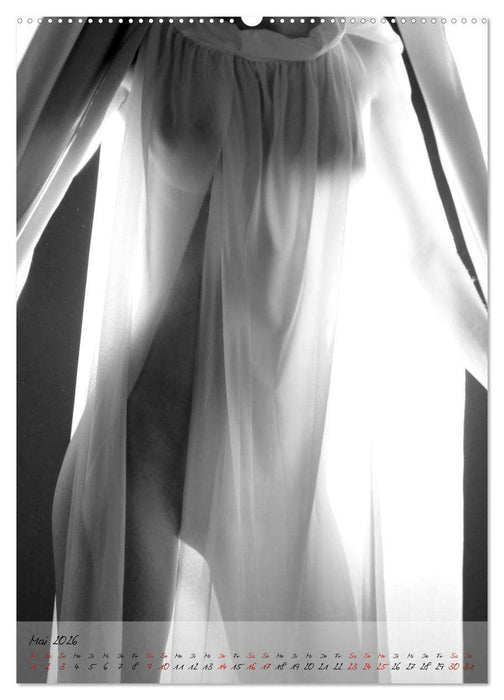 Sinnliche Lichtgestalt (CALVENDO Wandkalender 2026)