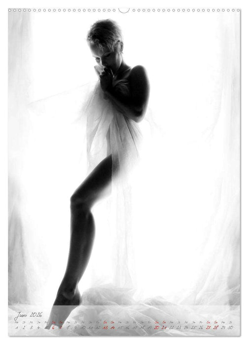 Sinnliche Lichtgestalt (CALVENDO Wandkalender 2026)