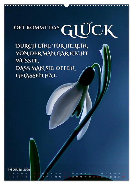 ICH WÜNSCHE DIR GLÜCK - 12 Monate mit inspirierenden Glückszitaten (CALVENDO Premium Wandkalender 2026)