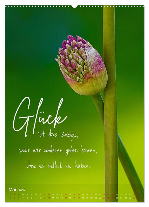 ICH WÜNSCHE DIR GLÜCK - 12 Monate mit inspirierenden Glückszitaten (CALVENDO Premium Wandkalender 2026)