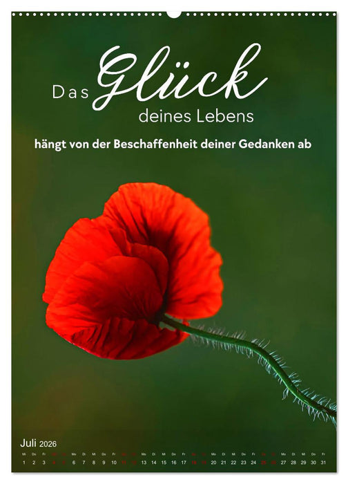 ICH WÜNSCHE DIR GLÜCK - 12 Monate mit inspirierenden Glückszitaten (CALVENDO Premium Wandkalender 2026)