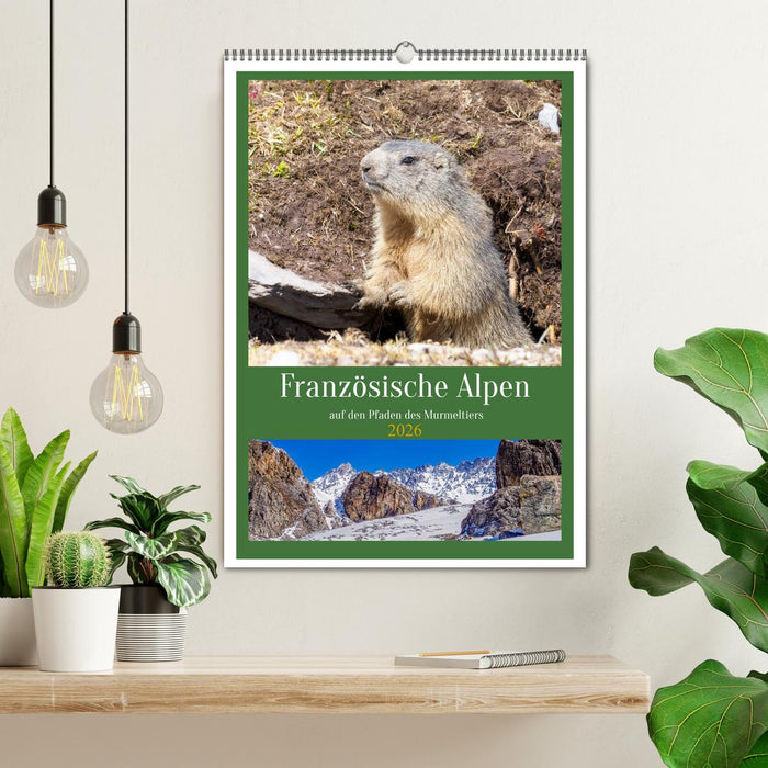 Französische Alpen, auf den Pfaden des Murmeltiers (CALVENDO Wandkalender 2026)