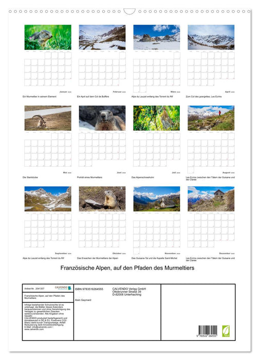 Französische Alpen, auf den Pfaden des Murmeltiers (CALVENDO Wandkalender 2026)