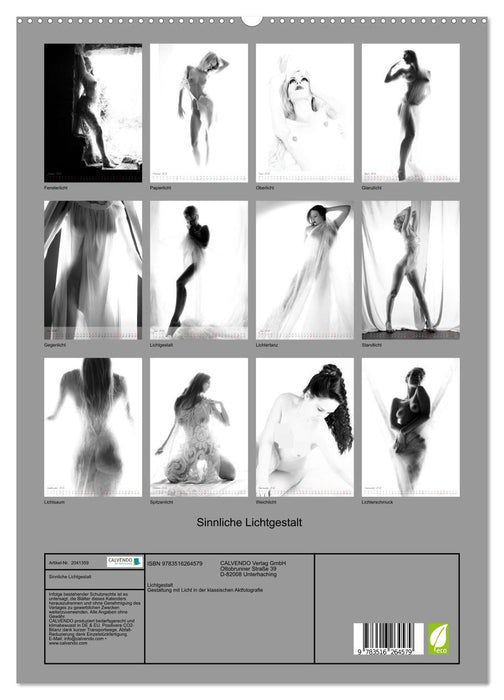 Sinnliche Lichtgestalt (CALVENDO Premium Wandkalender 2026)