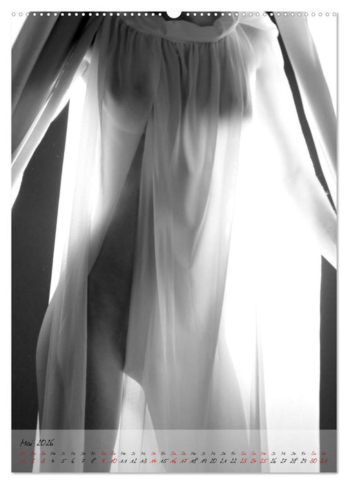 Sinnliche Lichtgestalt (CALVENDO Premium Wandkalender 2026)