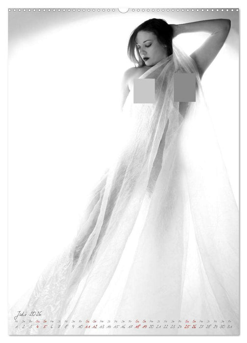 Sinnliche Lichtgestalt (CALVENDO Premium Wandkalender 2026)