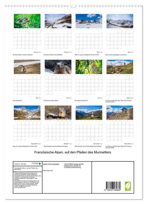 Französische Alpen, auf den Pfaden des Murmeltiers (CALVENDO Premium Wandkalender 2026)