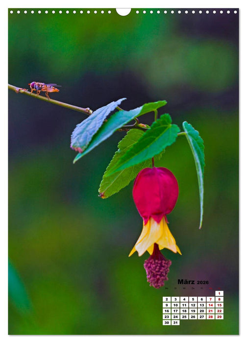 Spaß mit bunten Blümchen (CALVENDO Wandkalender 2026)