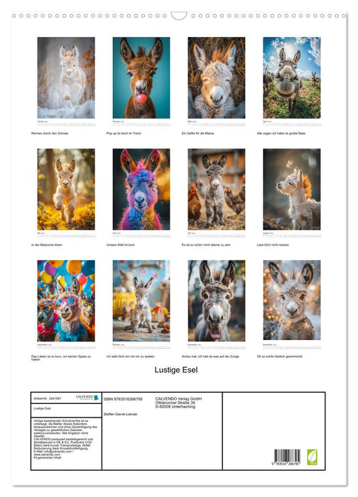 Lustige Esel (CALVENDO Wandkalender 2026)