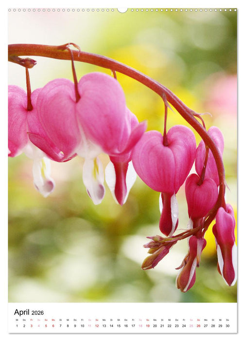 Ein Jahr voller Blumen (CALVENDO Wandkalender 2026)