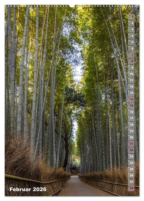 DER ZAUBER JAPANS Faszinierende Impressionen (CALVENDO Premium Wandkalender 2026)