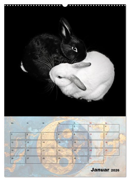 Sei das Yin zu meinem Yang (CALVENDO Premium Wandkalender 2026)