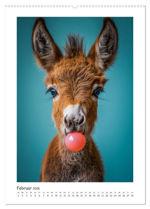 Lustige Esel (CALVENDO Premium Wandkalender 2026)