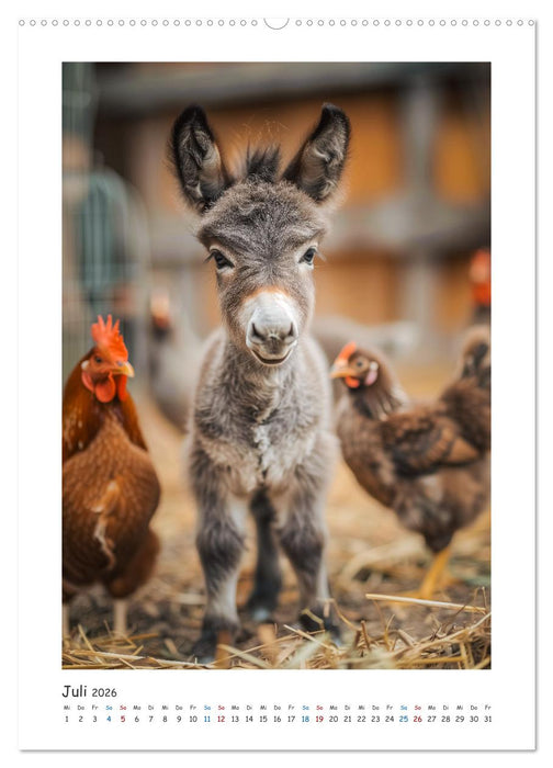 Lustige Esel (CALVENDO Premium Wandkalender 2026)