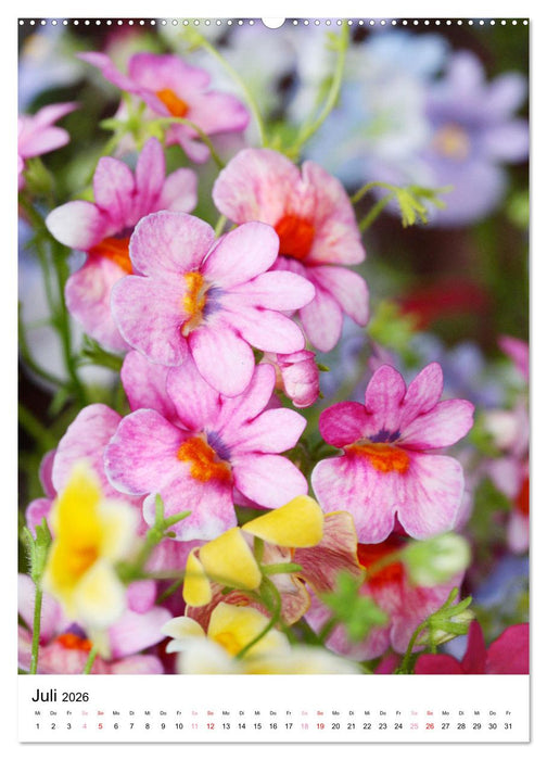 Ein Jahr voller Blumen (CALVENDO Premium Wandkalender 2026)