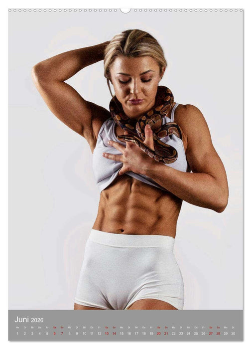 Body Shape - Desiree (CALVENDO Premium Wandkalender 2026)