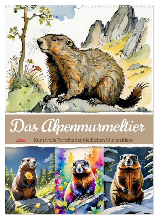 Das Alpenmurmeltier (CALVENDO Wandkalender 2026)