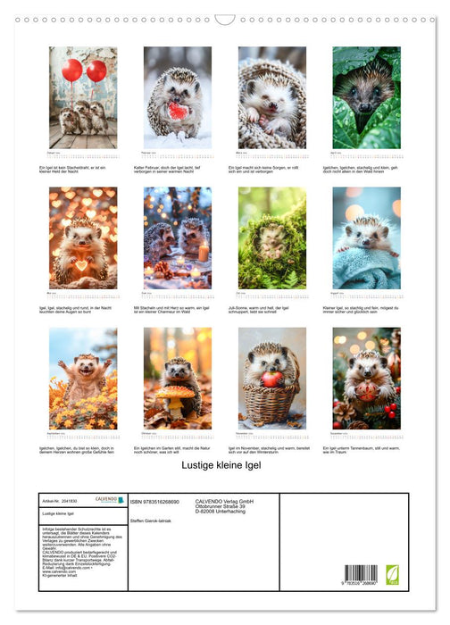 Lustige kleine Igel (CALVENDO Wandkalender 2026)
