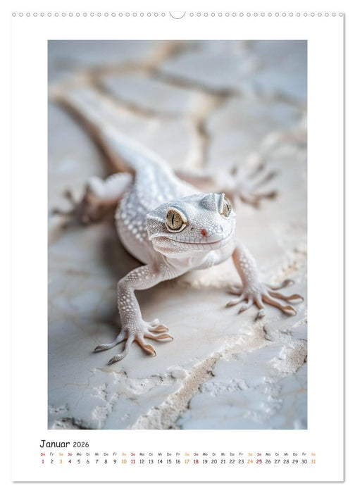 Lustige kleine Echsen (CALVENDO Premium Wandkalender 2026)
