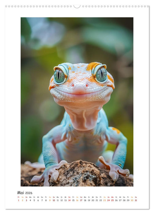Lustige kleine Echsen (CALVENDO Premium Wandkalender 2026)